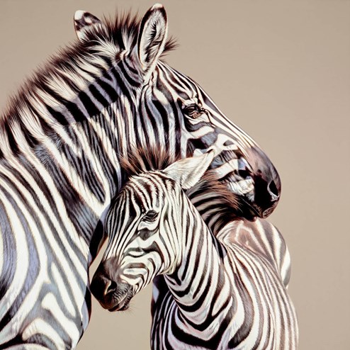 Two of a Kind by Darryn Eggleton - Limited Edition Box Canvas